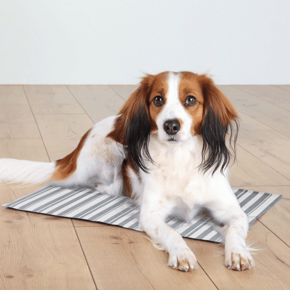 Trixie Cooling Mat For Dogs - White/Grey - 65x50cm-2