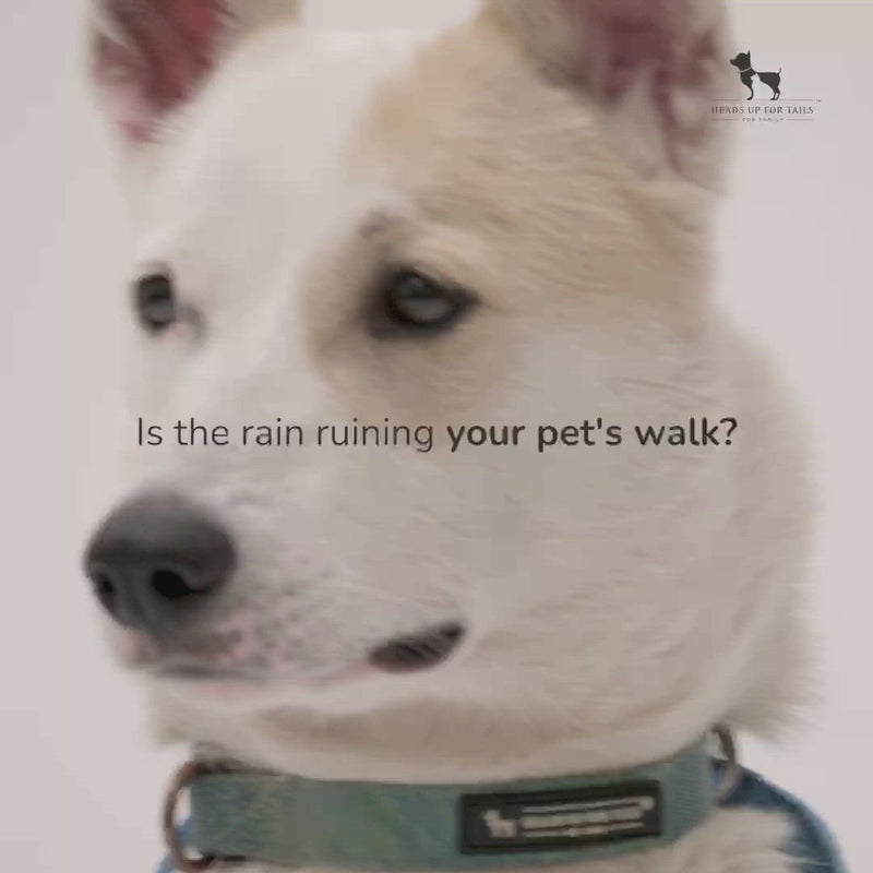 HUFT Drizzle Buddy Dog Raincoat - Crimson Red