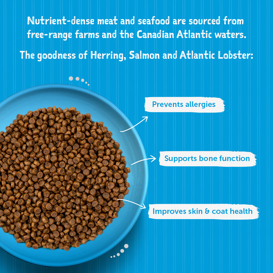 Loveabowl Grain Free Herring, Salmon & Atlantic Lobster Cat Dry Food - Heads Up For Tails