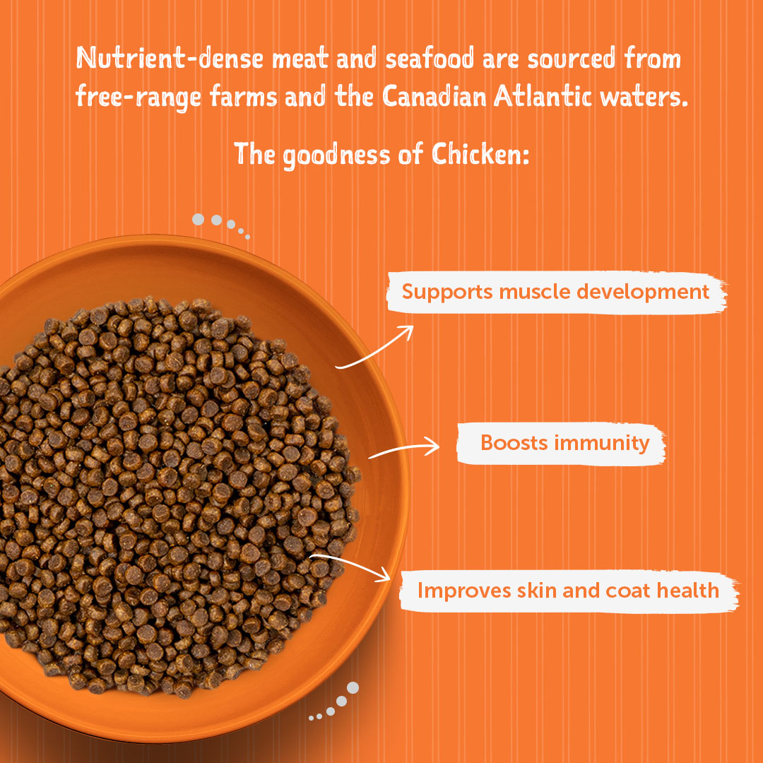 Loveabowl Grain Free Chicken Cat Dry Food - Heads Up For Tails