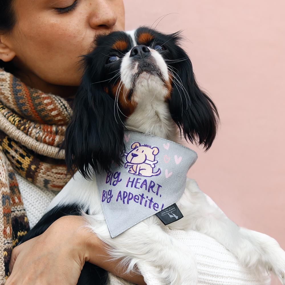 HUFT X Alicia Souza Big Heart Big Appetite Dog Bandana2