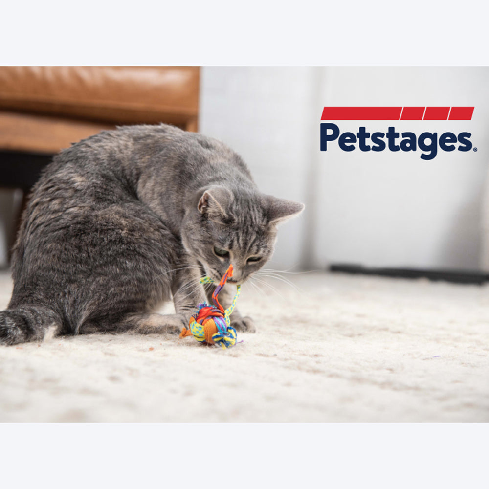 Petstages Tons of Tails Catnip and Dental Health Cat Toy - Heads Up For Tails