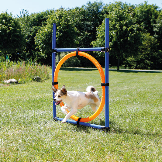 Trixie Dog Agility Ring, Orange/Blue - Heads Up For Tails