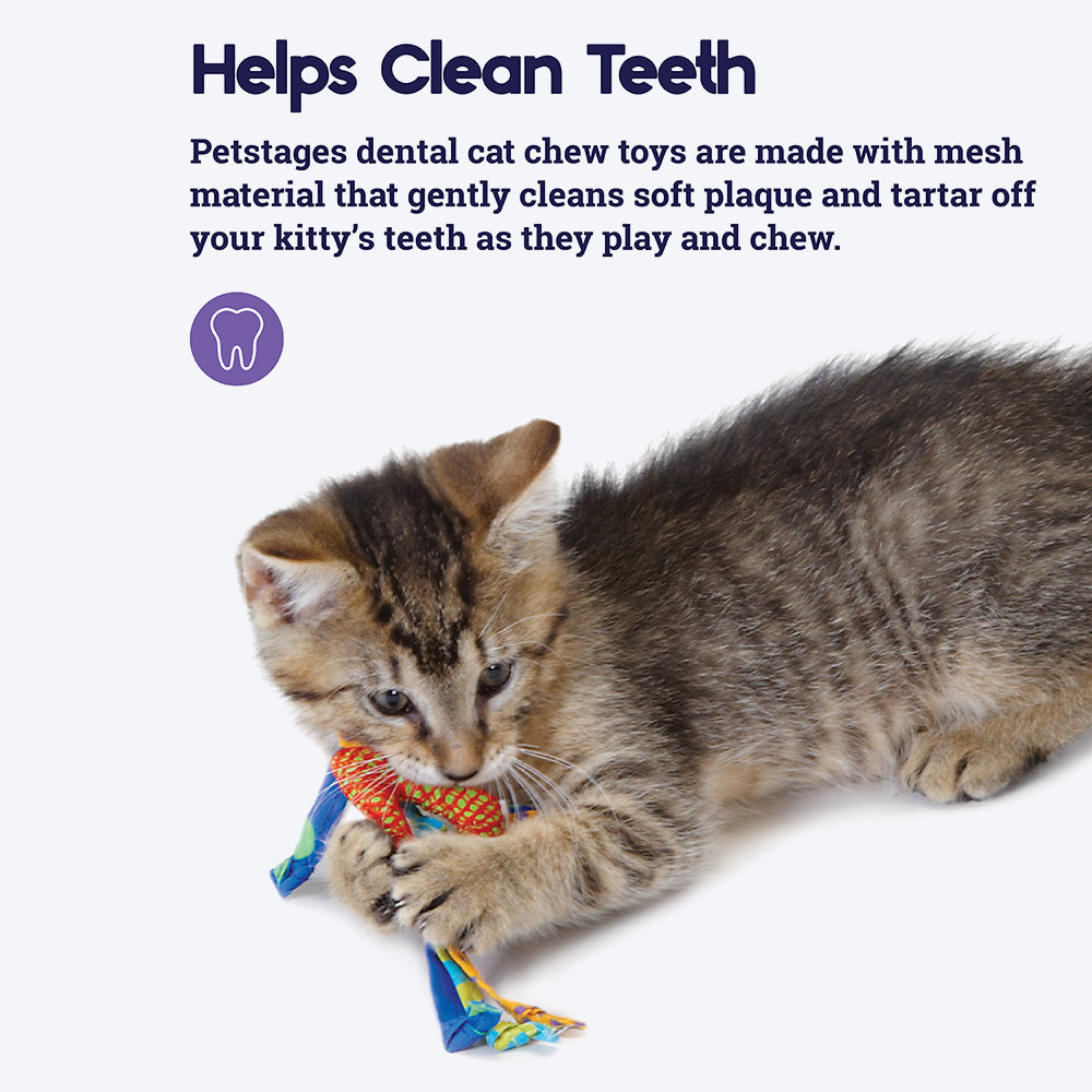 Petstages Catnip Dental Health Cat Chew