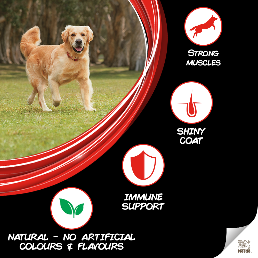 PURINA SUPERCOAT Adult All Breed Dry Dog Food - Chicken