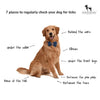 HUFT Organic Anti-Tick and Flea Spray for Dogs - 200 ml - Heads Up For Tails
