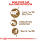 Royal Canin Aging 12+ Wet Cat Food - 85 g-2
