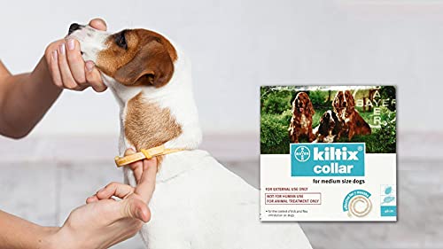 Bayer Kiltix Tick Collar for Small & Medium Dogs - Heads Up For Tails