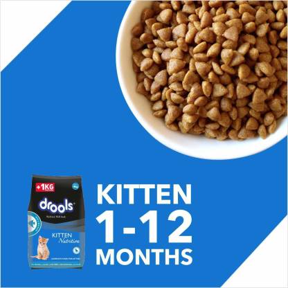 Drools Ocean Fish Cat Food For Kitten - Heads Up For Tails