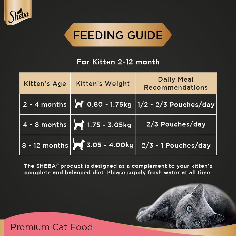 Sheba Rich Chicken Premium Loaf Wet Kitten Food - 70 g (Pack Of 12)-8
