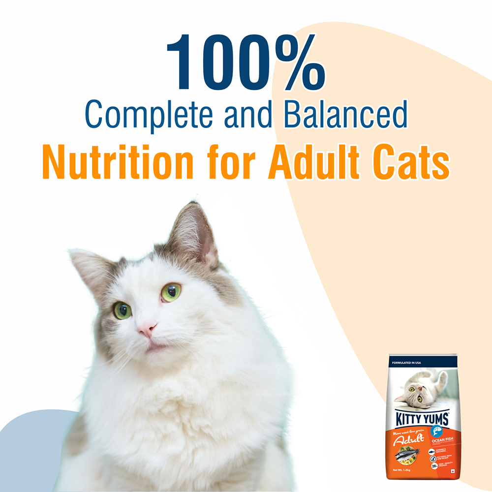Kitty Yums Adult (+1 Year) Dry Cat Food - Ocean Fish - Heads Up For Tails