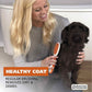 Wahl Double Sided Brush for Dogs & Cats-3