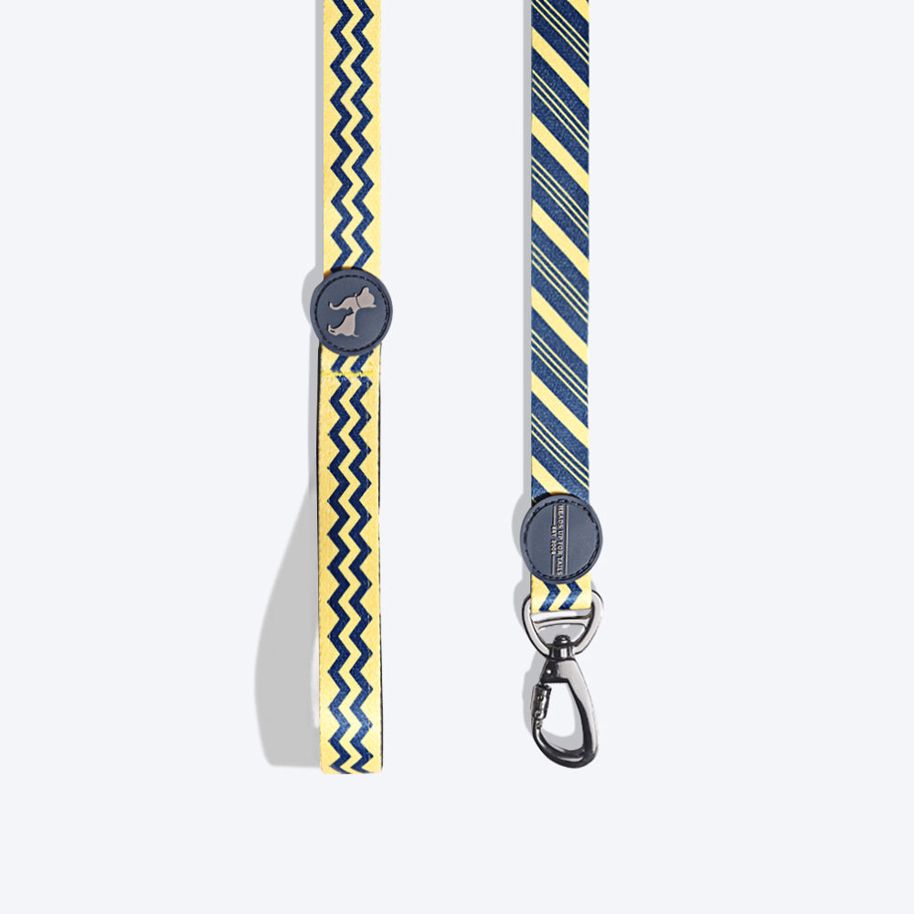HUFT Garden Party Stardust Leash - Heads Up For Tails