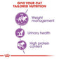 Royal Canin Sterilised/Neutered Adult Dry Cat Food - 2 kg-4