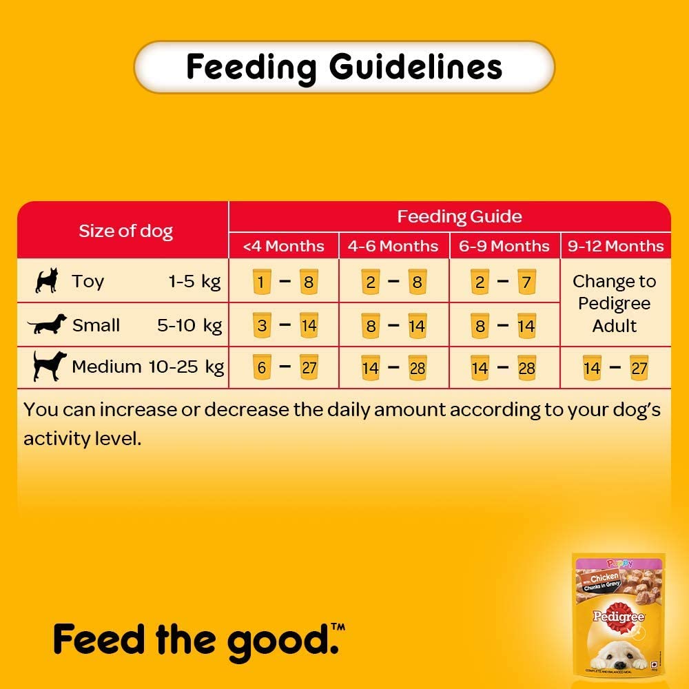 Pedigree Chicken Chunks in Gravy Wet Puppy Food 70 g packs