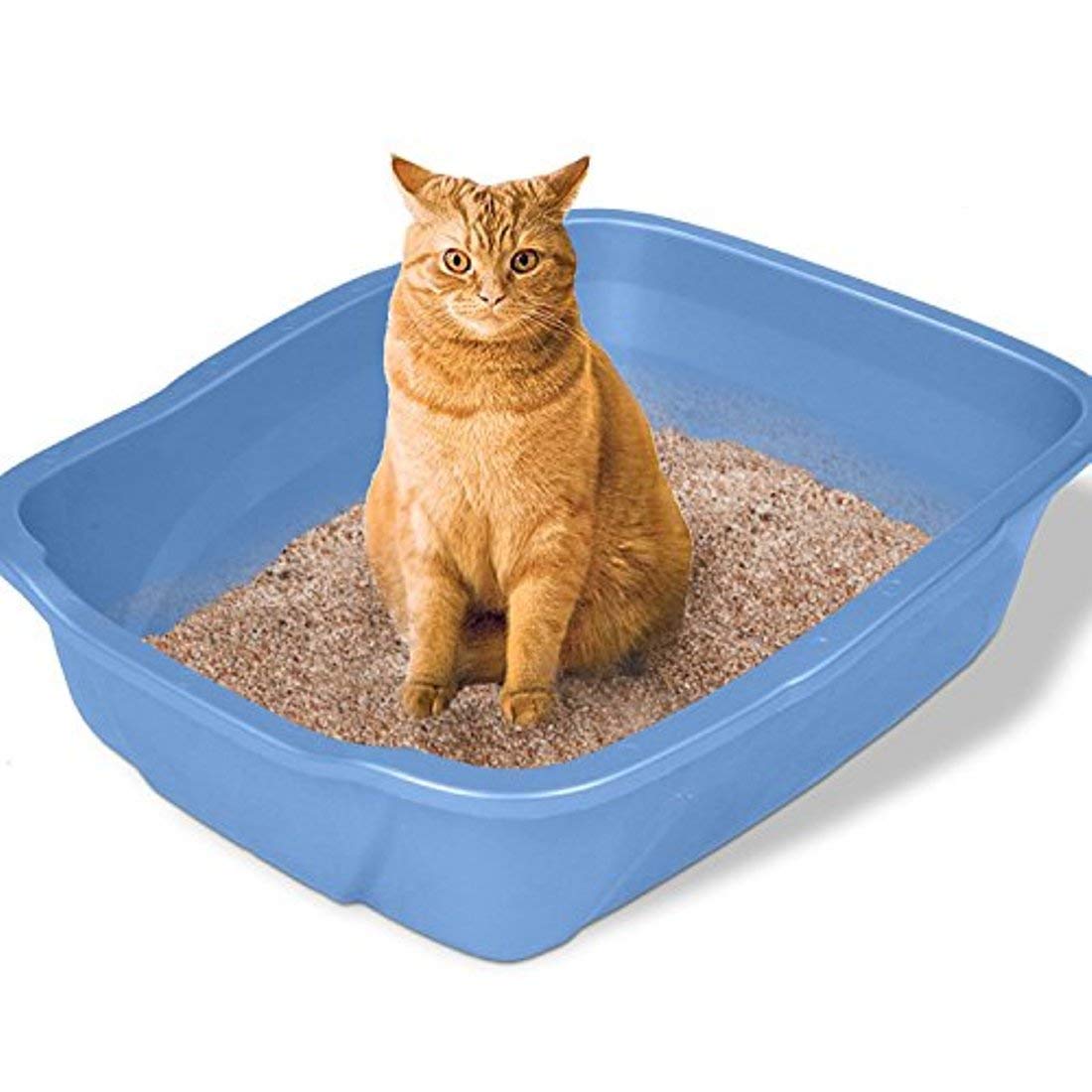 Emily Pets Fresh Scented Premium Bentonite Cat Litter Apple - 5 L - Heads Up For Tails
