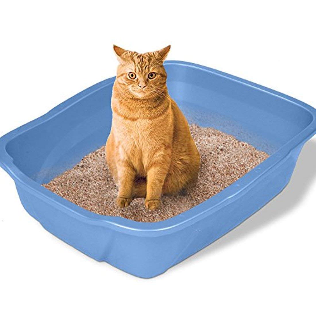 Emily Pets Fresh Scented Bentonite Cat Litter Lavender - Heads Up For Tails