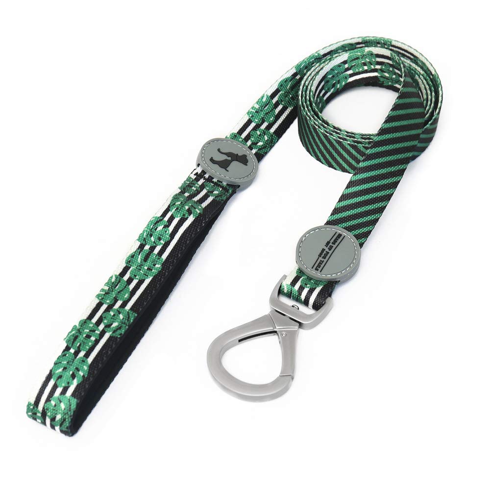 HUFT Be-Leaf in Good Collar and Leash Set for Dogs - Green4