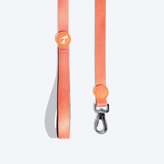 HUFT Classic Dog Leash - Orange - 1.5 m - Heads Up For Tails