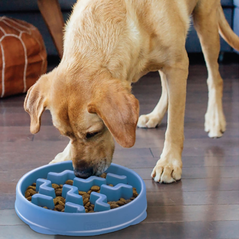 Outward Hound Fun Feeder Slo-Bowl Slow Feeder for Dogs - Heads Up For Tails