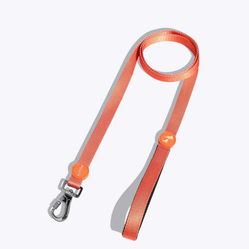 HUFT Classic H Harness And Leash Set - Orange - Heads Up For Tails