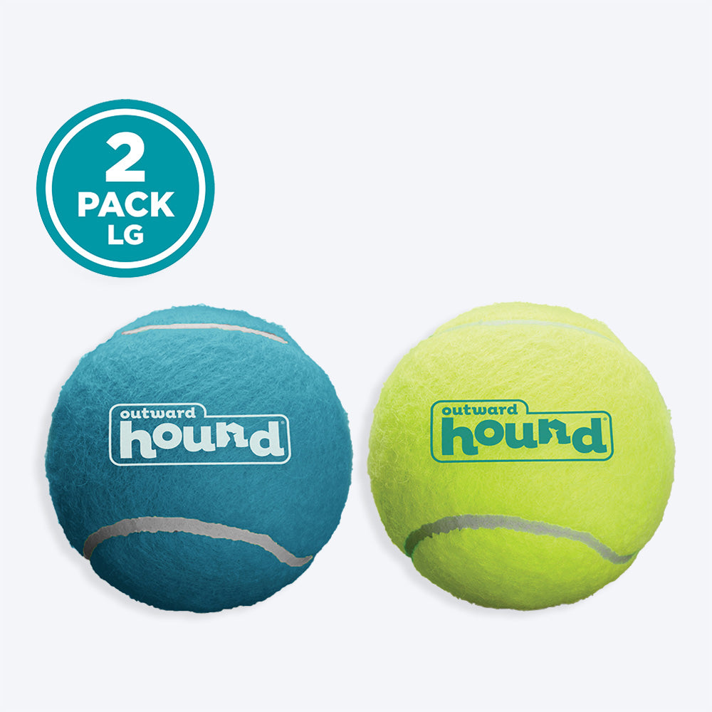Outward Hound Squeaker Ballz Fetch Dog Toy - Heads Up For Tails