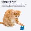 Petstages Jack Catnip Chew Cat Toy - Blue - 6 cm - Heads Up For Tails