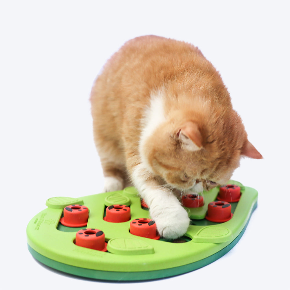 Outward Hound Buggin Out Puzzle Slide Interactive Cat Toy - Green - Heads Up For Tails