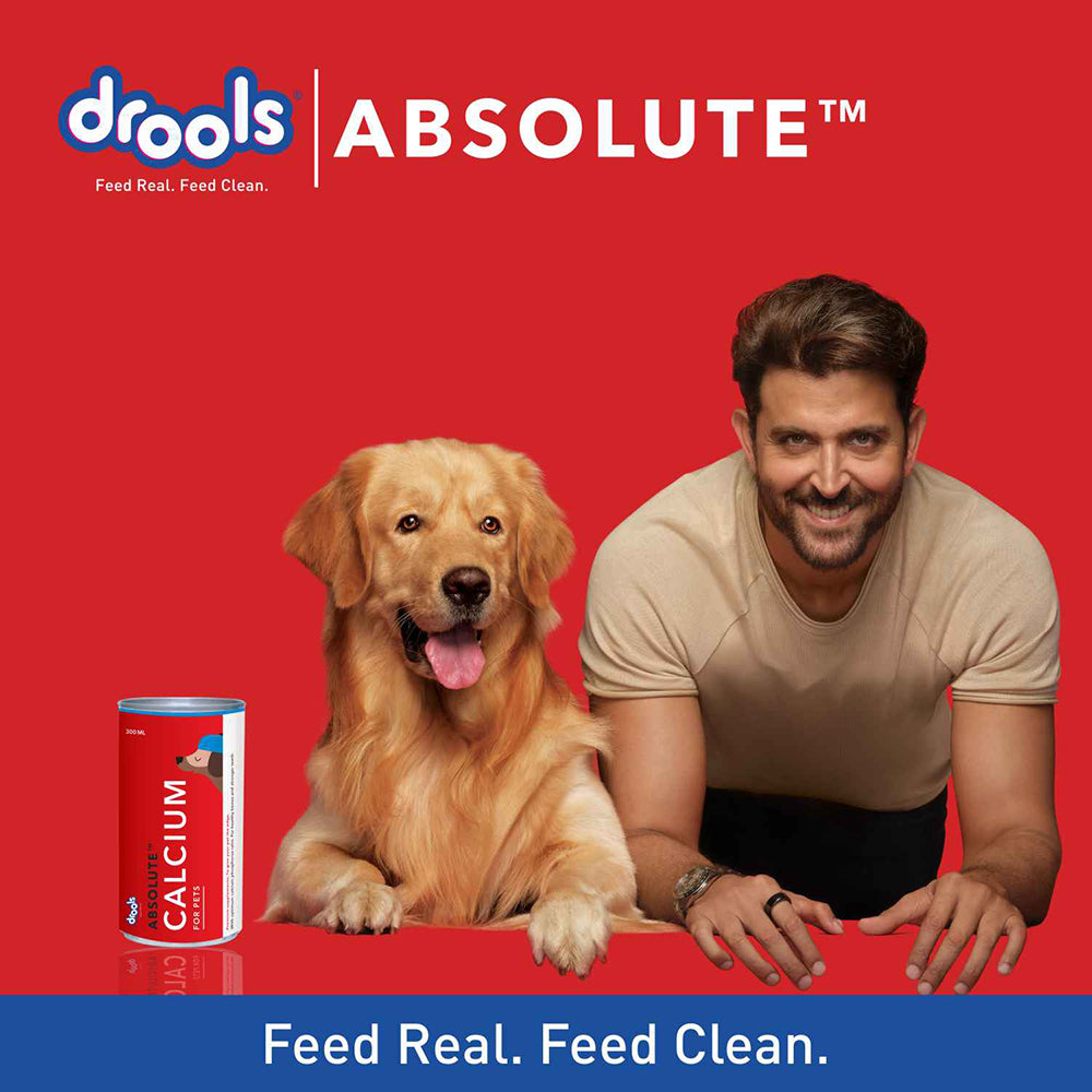 Drools Absolute Calcium Syrup For Dogs - 300ml - Heads Up For Tails