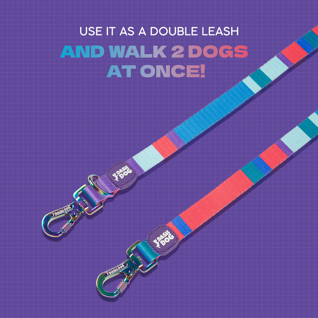 Dash Dog Vertical Pace 6 Way Leash - Multi Colour