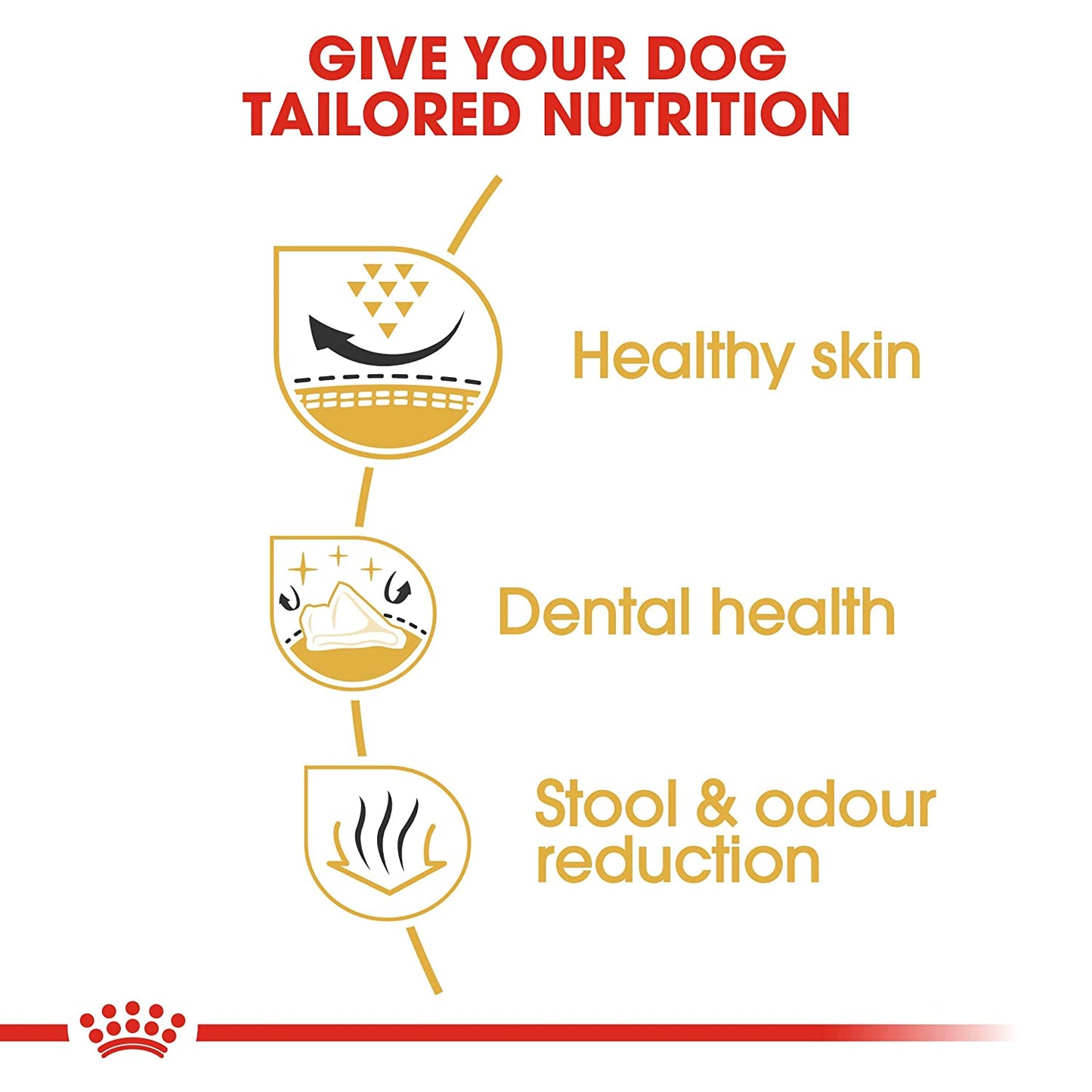Royal Canin Shih Tzu Adult Dry Dog Food-3