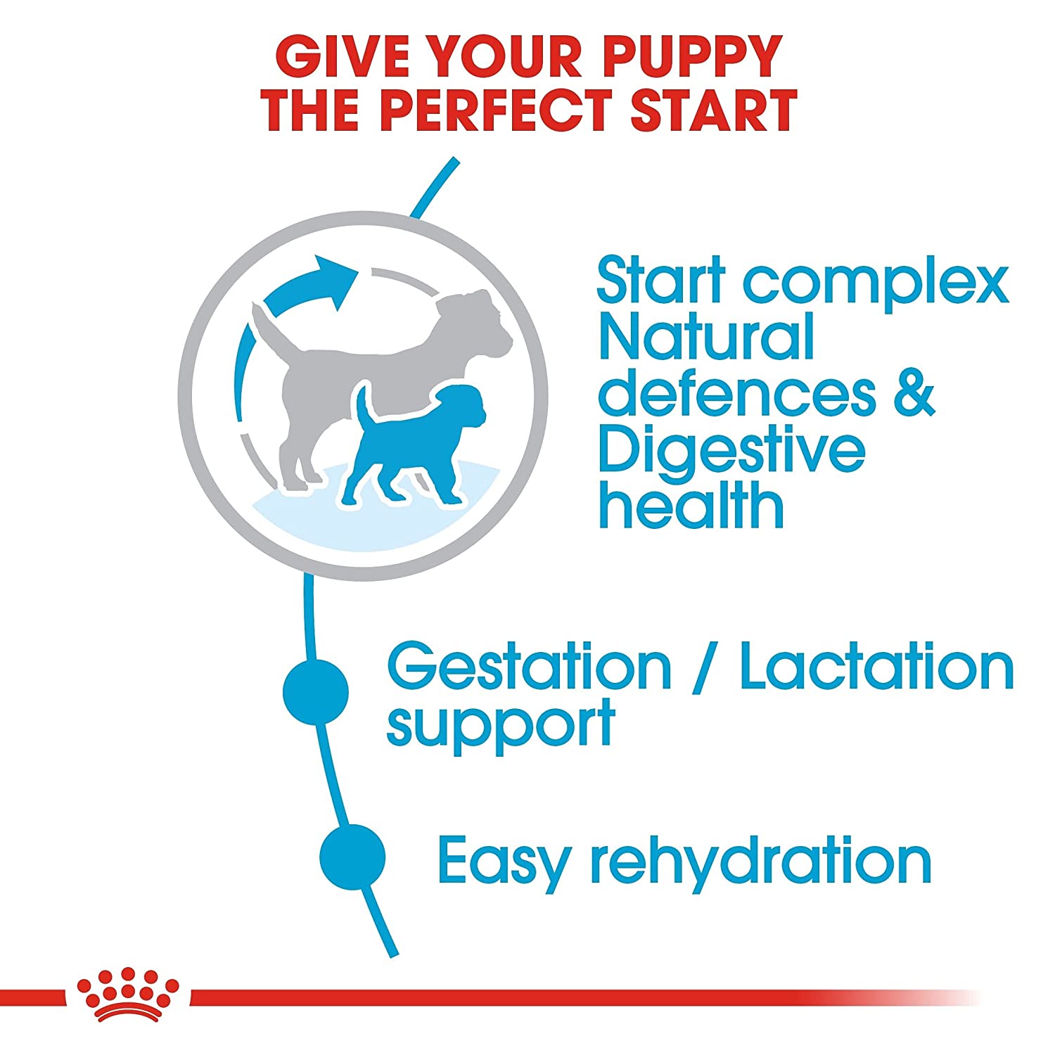 Royal canin mini 2024 starter puppy food