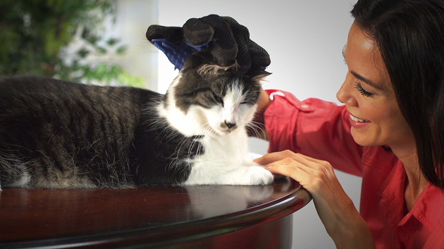 Wahl Pet Grooming Finger Glove - Heads Up For Tails