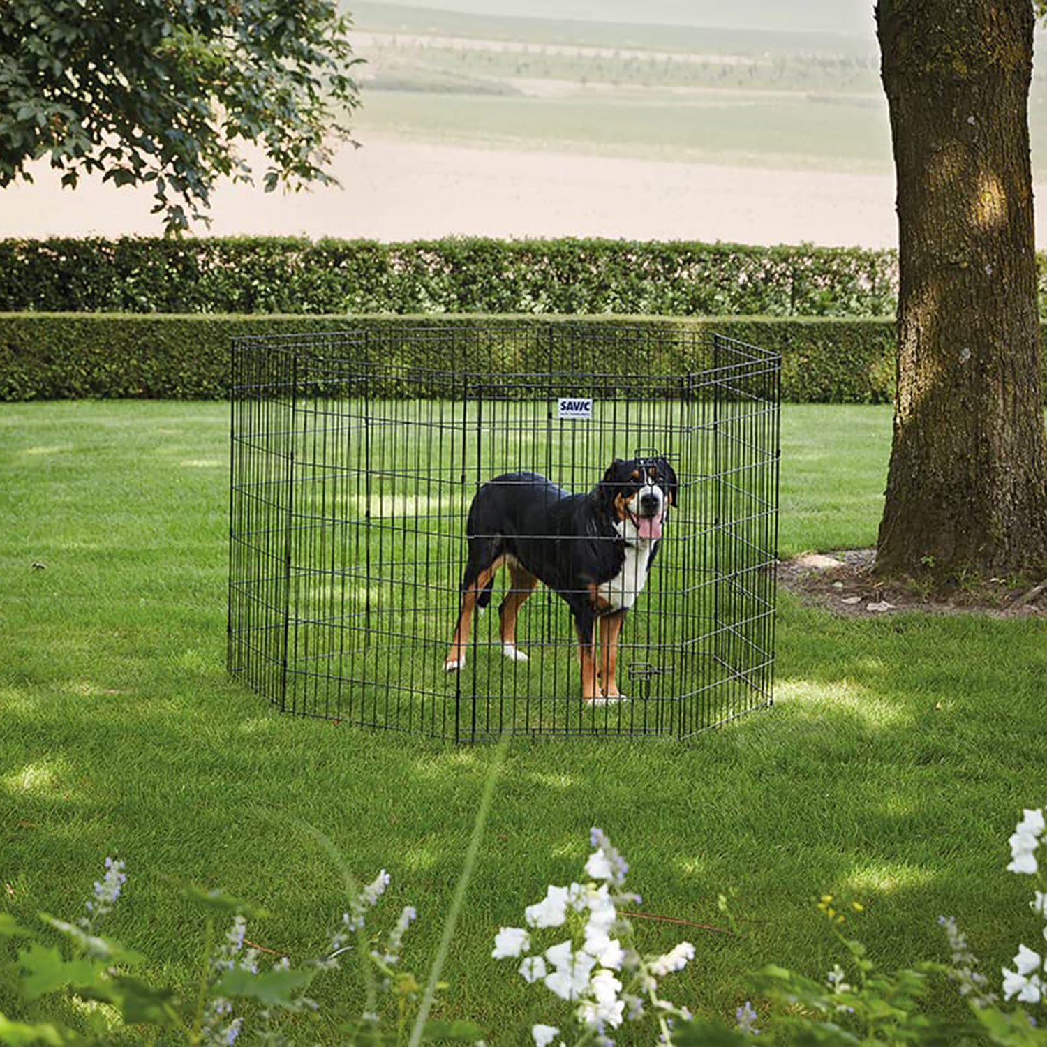 Savic Dog Park Play Pen Black Heads Up For Tails