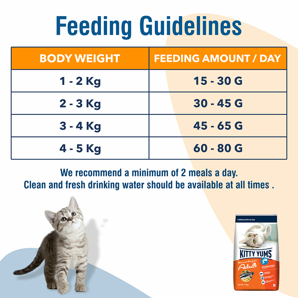 Kitty Yums Adult (+1 Year) Dry Cat Food - Ocean Fish - Heads Up For Tails