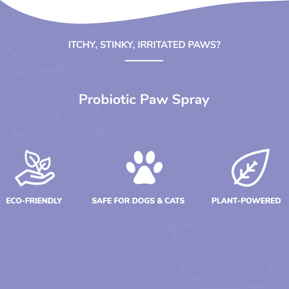 Skout's Honor Probiotic Paw Spray For Dogs & Cats - Heads Up For Tails