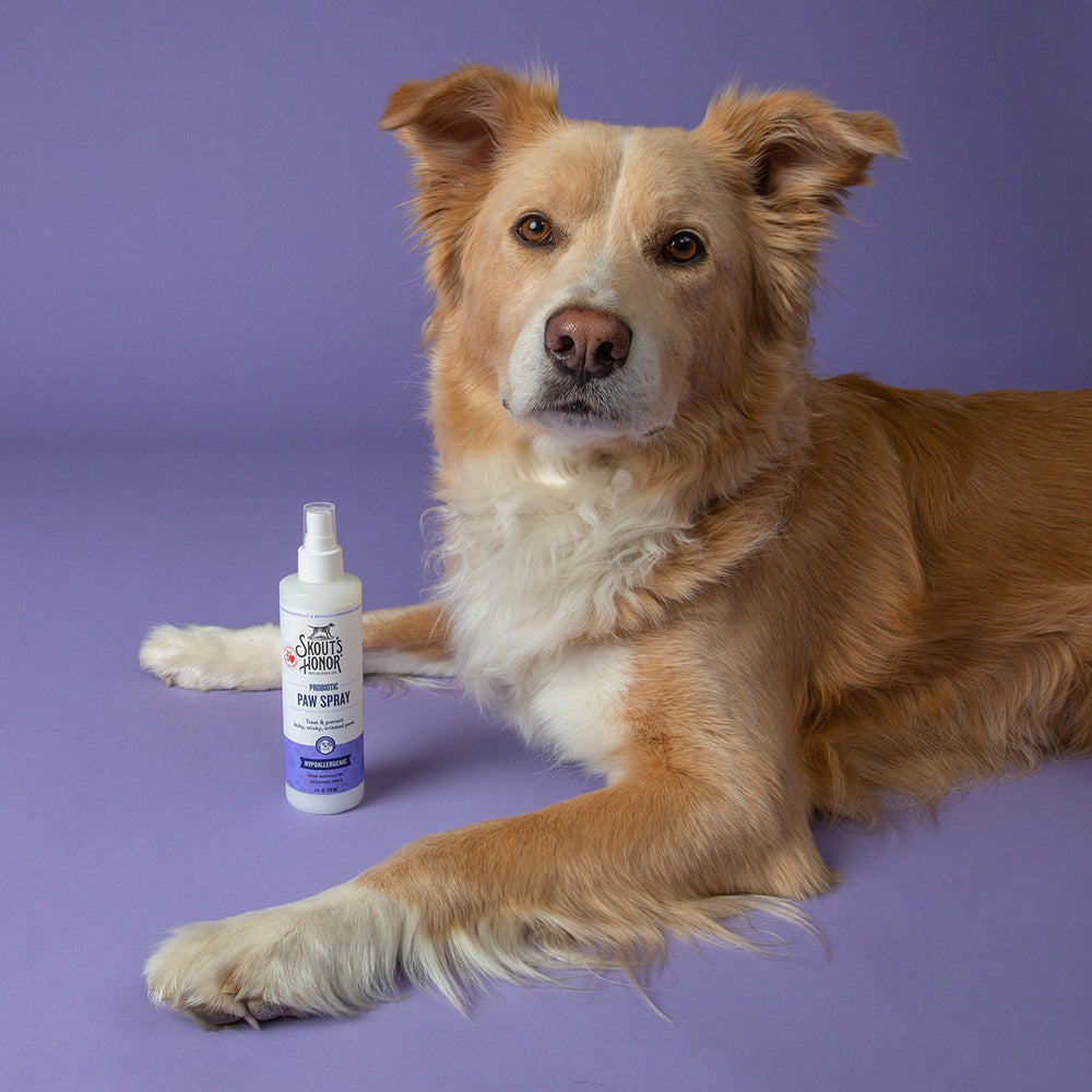 Skout's Honor Probiotic Paw Spray For Dogs & Cats - Heads Up For Tails