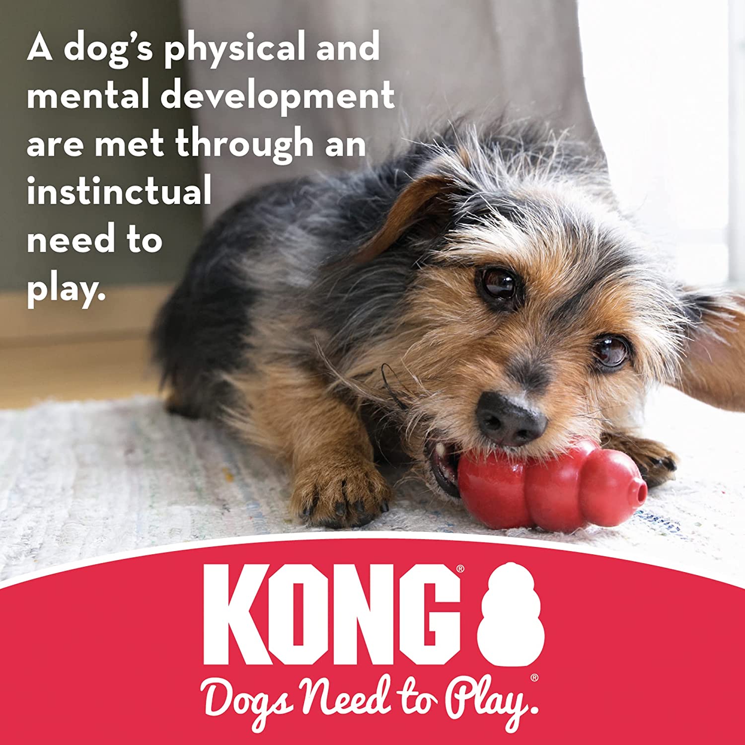 KONG Binkie Puppy Chew Toy - (Assorted) - Heads Up For Tails