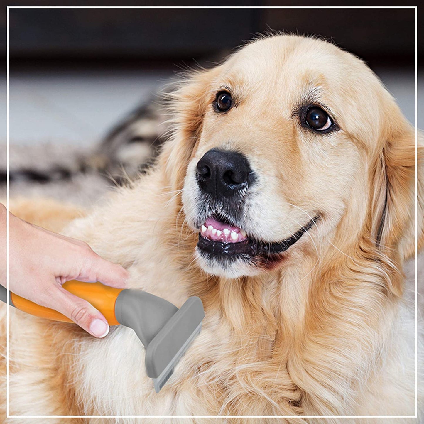 Wahl De-Shedder for Dogs and Cats - Heads Up For Tails