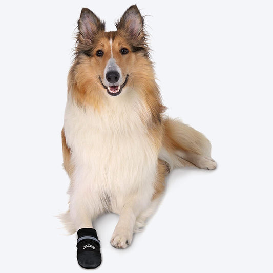 Dog Shoes: Comfy and stylish Dog shoes & Socks Online, Puppy & Dog