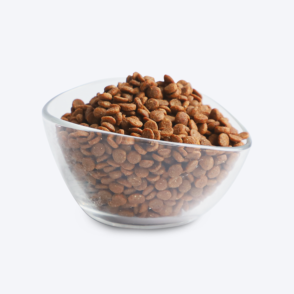 Kit Cat Classic Chicken Premium Adult Dry Cat Food - Heads Up For Tails