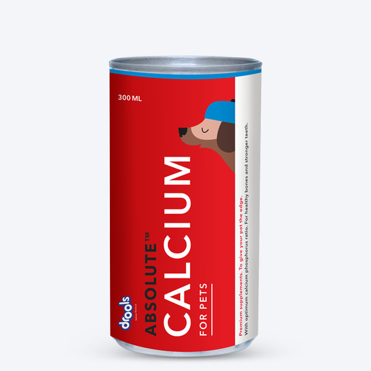 Drools Absolute Calcium Syrup For Dogs - 300ml - Heads Up For Tails