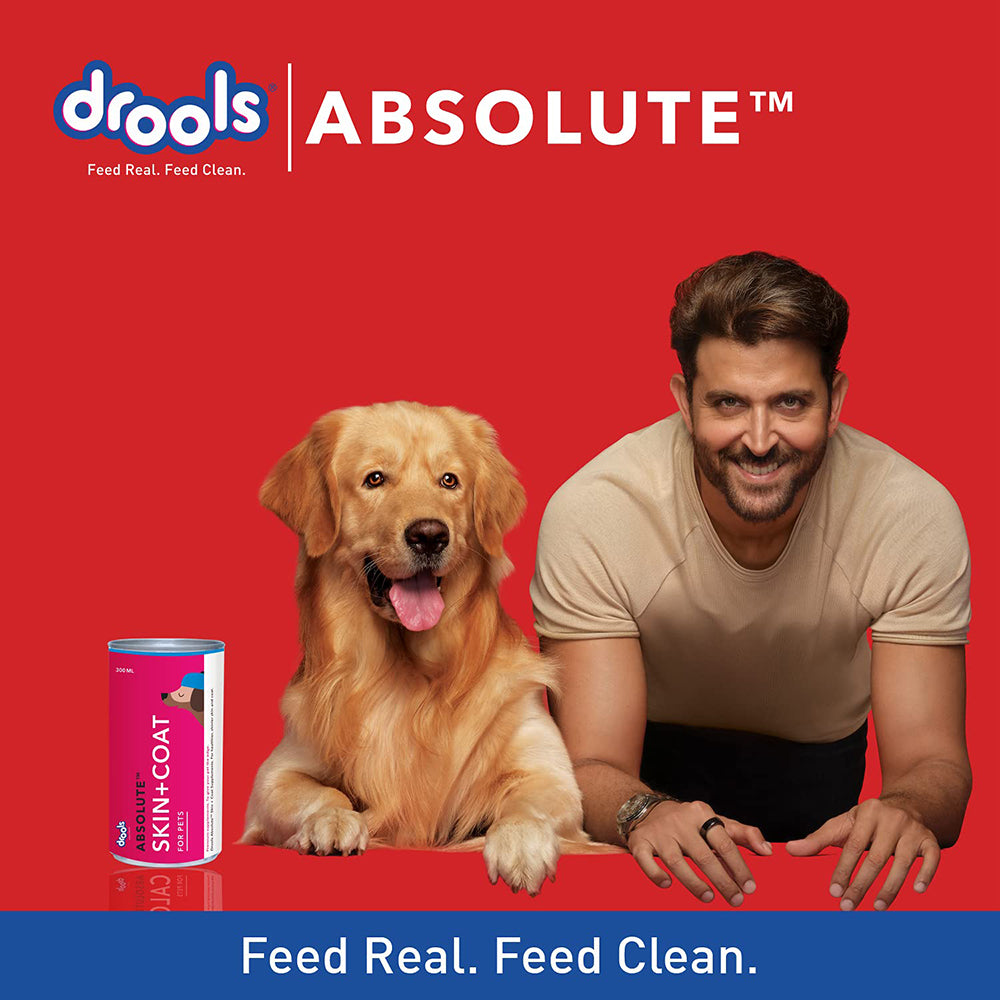 Drools Absolute Skin + Coat Syrup For Dogs - 300ml - Heads Up For Tails