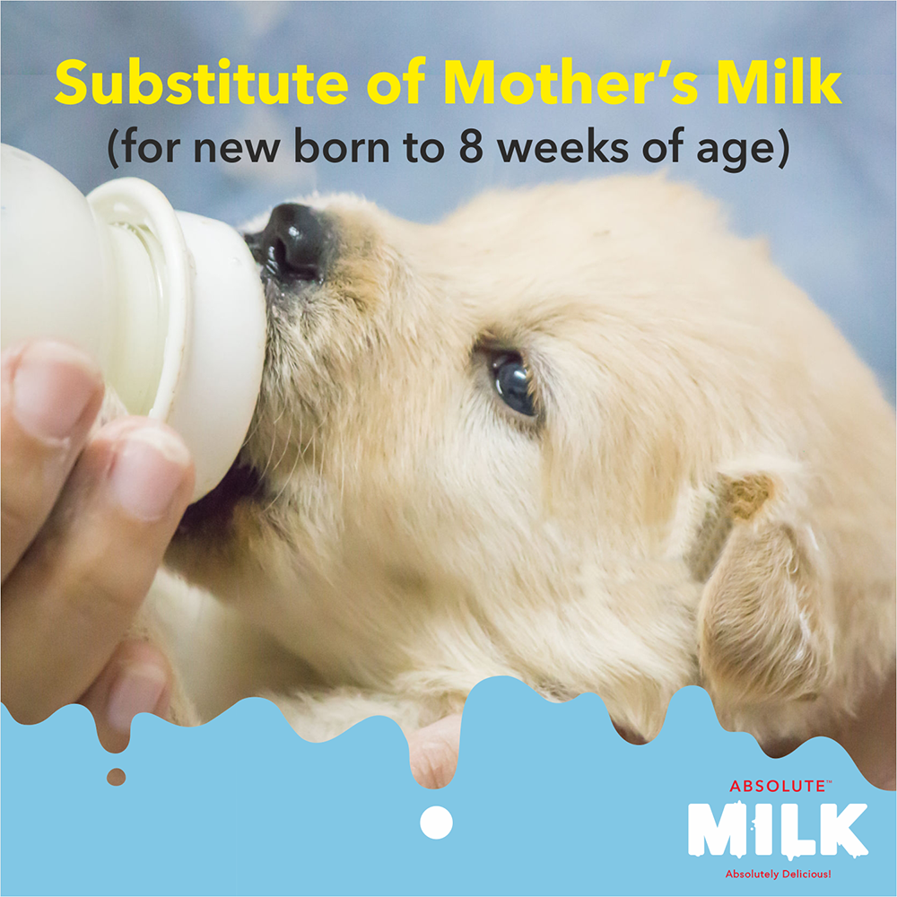 Drools Absolute Milk For Newborn Puppies 500g Heads Up For Tails