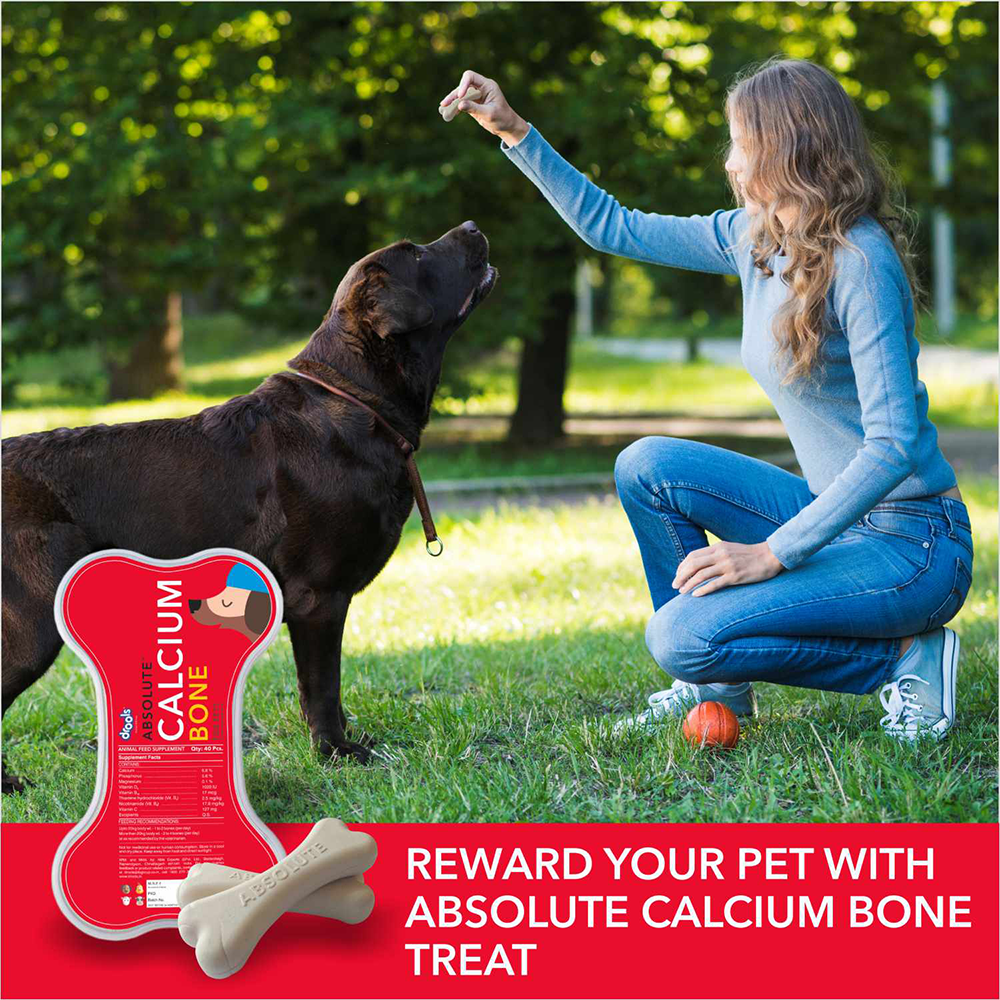 Drools Absolute Calcium Bone Pouch For Dogs - 190 g - Heads Up For Tails