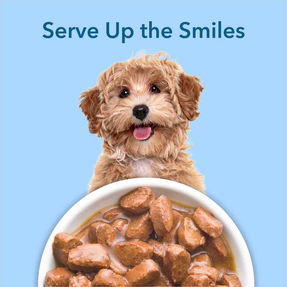 Purepet Chicken and Vegetable Chunks in Gravy Food For Dogs  - 70 g - Heads Up For Tails