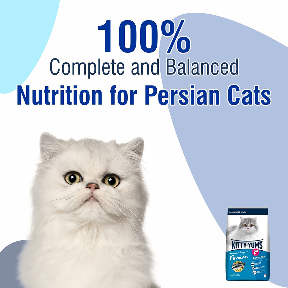 Kitty YumsDry Persian Cat Food - Ocean Fish - Heads Up For Tails