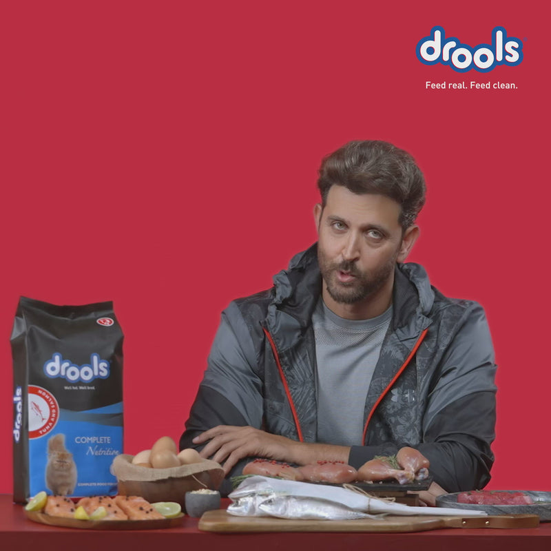 Drools Adult (+1 Year) Ocean Fish Dry Cat Food