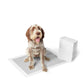 M-Pets Carbon Training Dog Pads Grey 30 pcs (45cm x 60cm)
