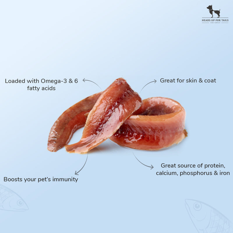 Sara's Doggie Treats Dehydrated Anchovies, 70 g, high protein, grain-free, human-grade ingredients, packaged in a resealable
